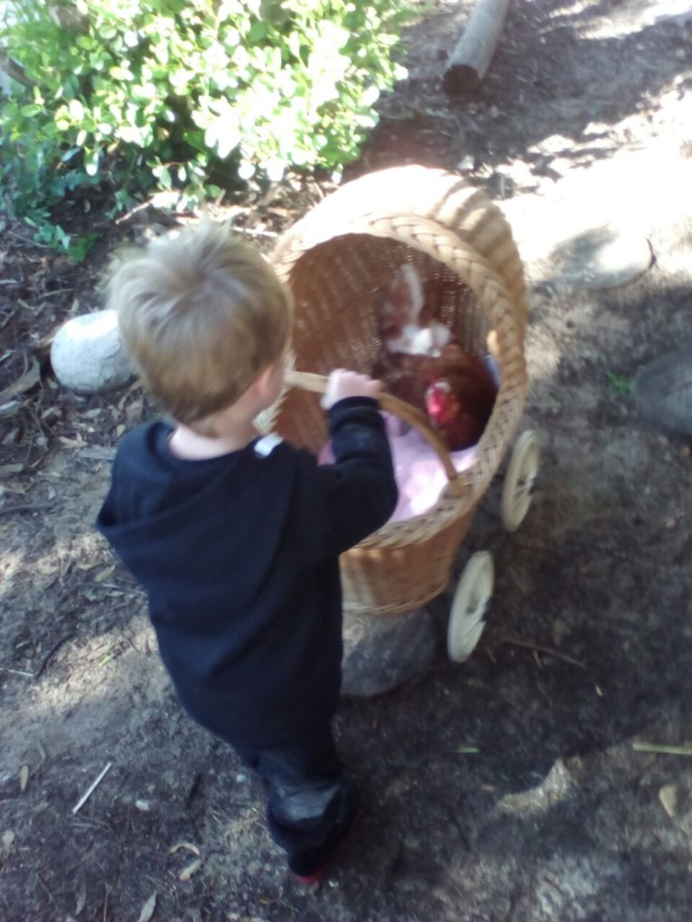 Imhoff Waldorf School