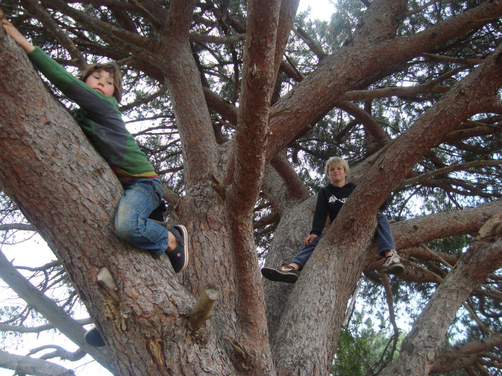 c1-2011-9 - Imhoff Waldorf School