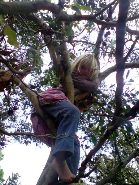 Imhoff Waldorf School