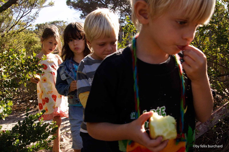 joys-class-2011-2 - Imhoff Waldorf School
